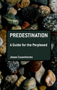 Predestination (Guides For The Perplexed Series)