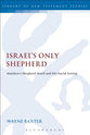 Israel's Only Shepherd (Library Of New Testament Studies Series)