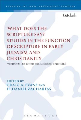 'What Does the Scripture Say?' Studies in the Function of Scripture in Early Judaism and Christianit (Volume 2) (Library Of New Testament Studies Series)