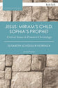 Jesus: Miriam's Child, Sophia's Prophet (2nd Edition) (T&t Clark Cornerstones Series)