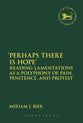 'Perhaps There is Hope': Reading Lamentations as a Polyphony of Pain, Penitence, and Protest (Library Of Hebrew Bible/old Testament Studies Series)