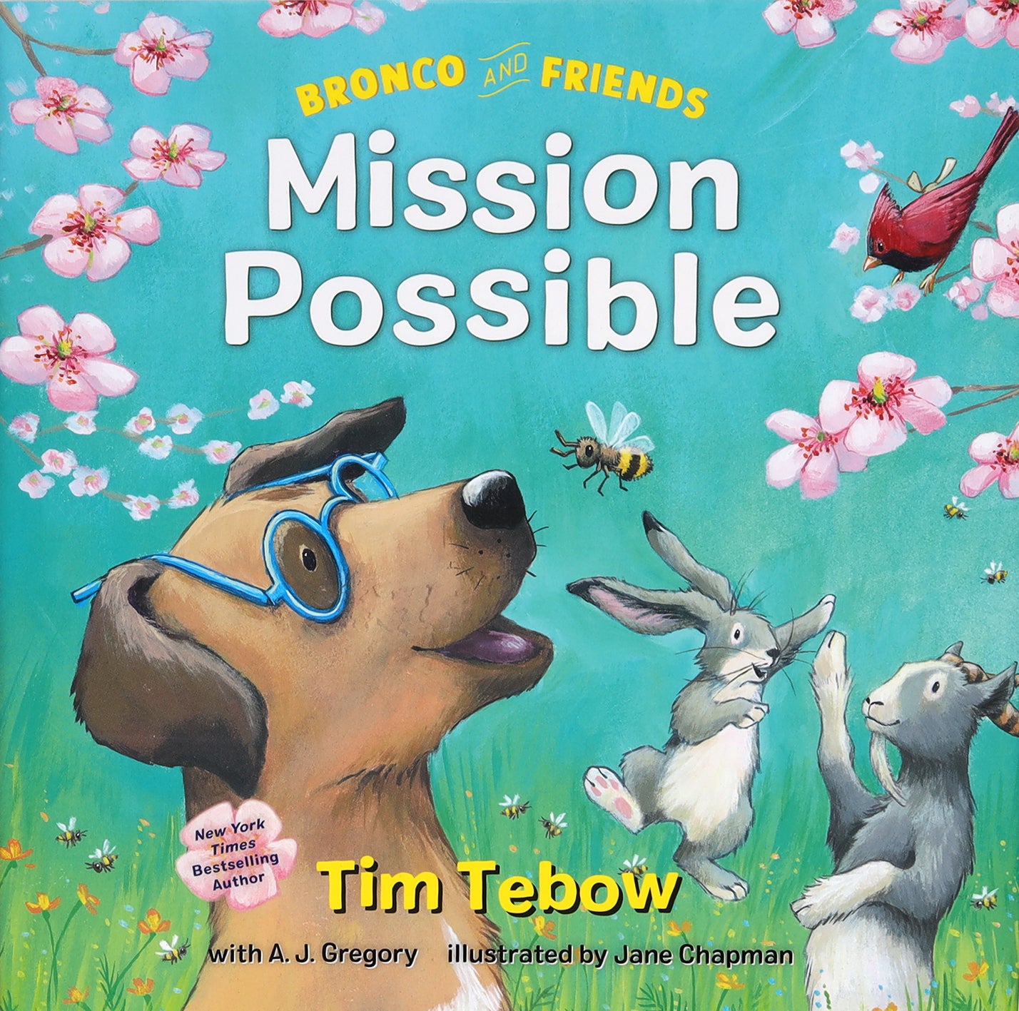 Mission Possible (Bronco And Friends Series)