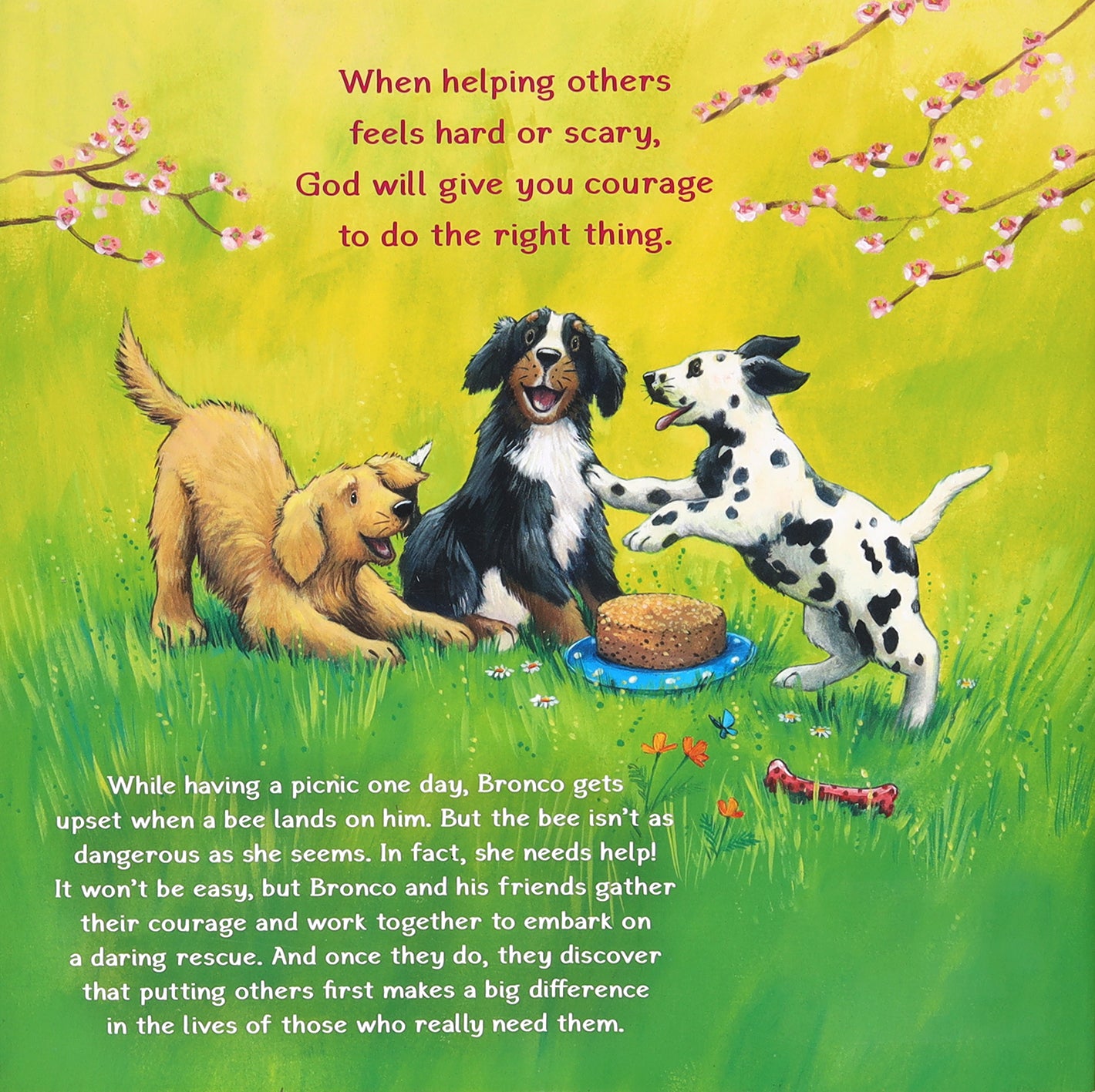 Mission Possible (Bronco And Friends Series)