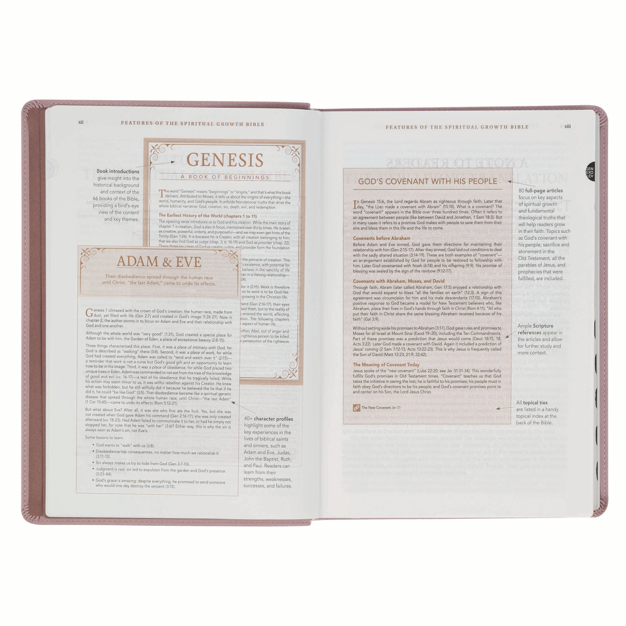 NLT The Spiritual Growth Bible, Dusty Mauve