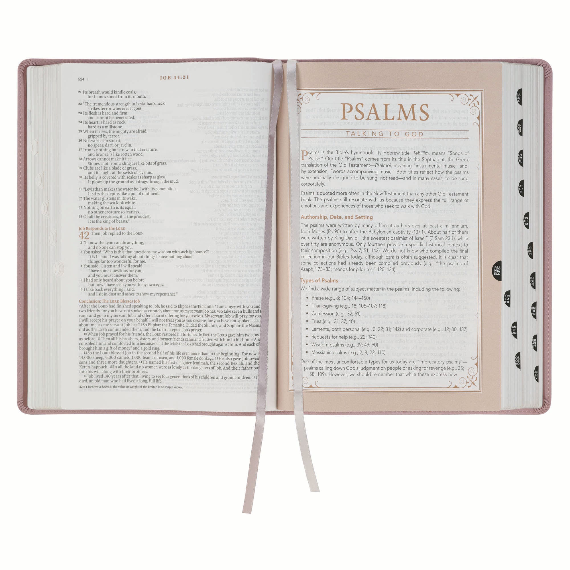 NLT The Spiritual Growth Bible, Dusty Mauve