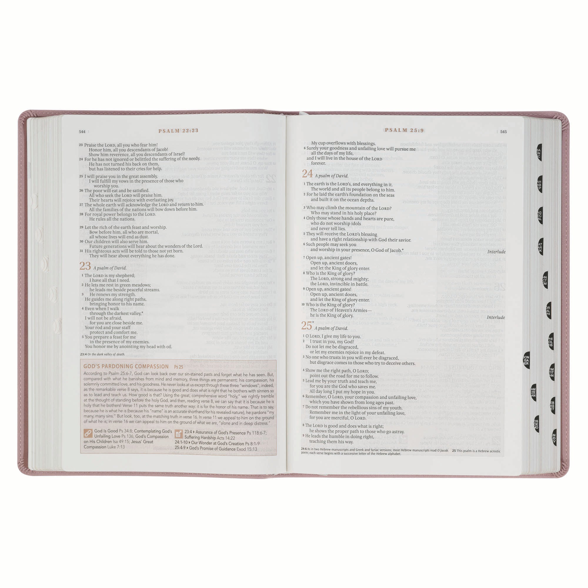 NLT The Spiritual Growth Bible, Dusty Mauve