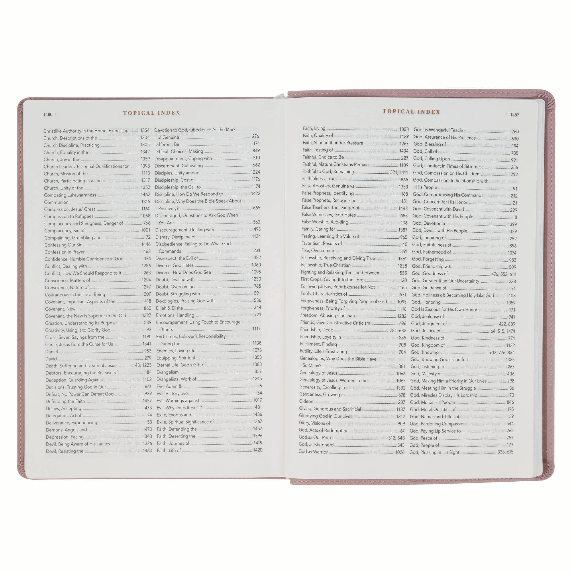 NLT The Spiritual Growth Bible, Dusty Mauve