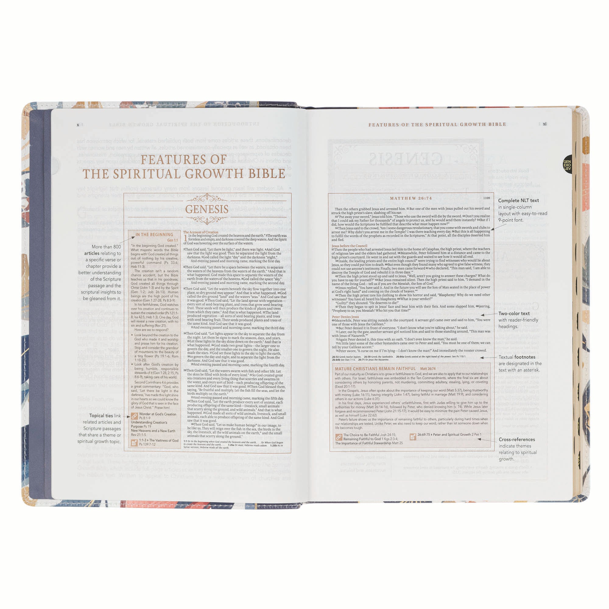 NLT The Spiritual Growth Bible, Navy with leaves