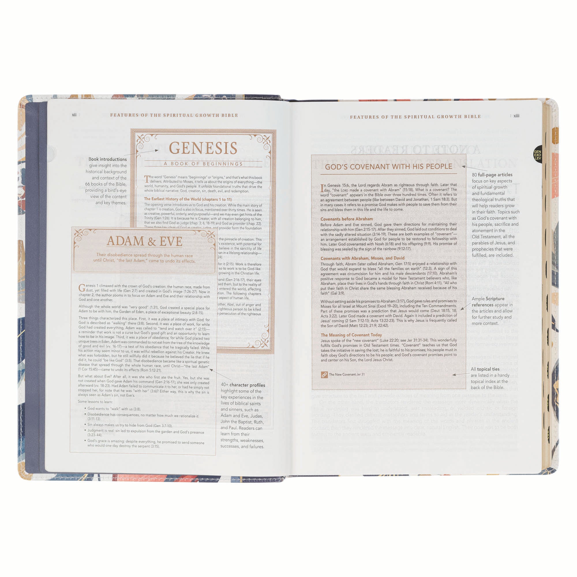 NLT The Spiritual Growth Bible, Navy with leaves