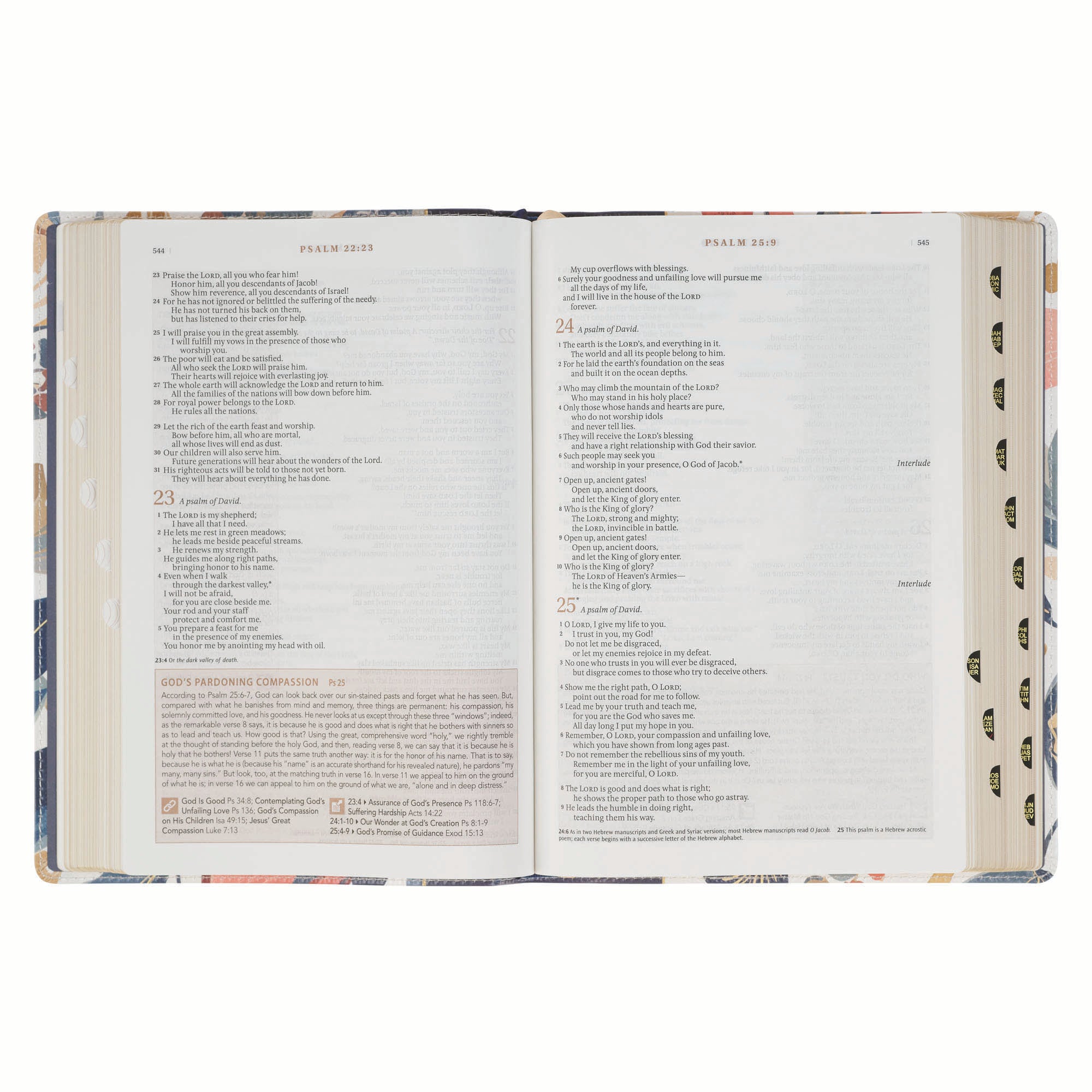 NLT The Spiritual Growth Bible, Navy with leaves