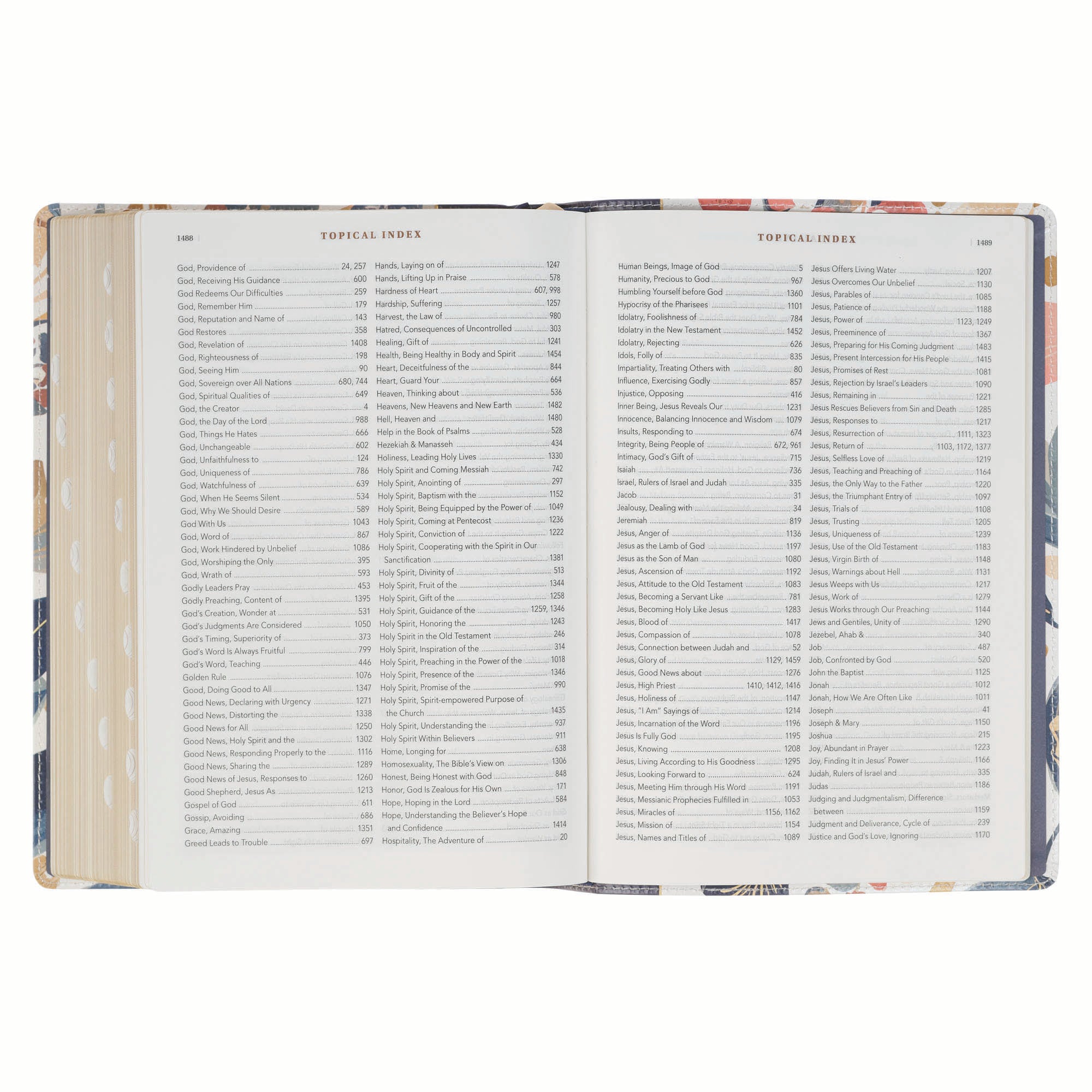 NLT The Spiritual Growth Bible, Navy with leaves