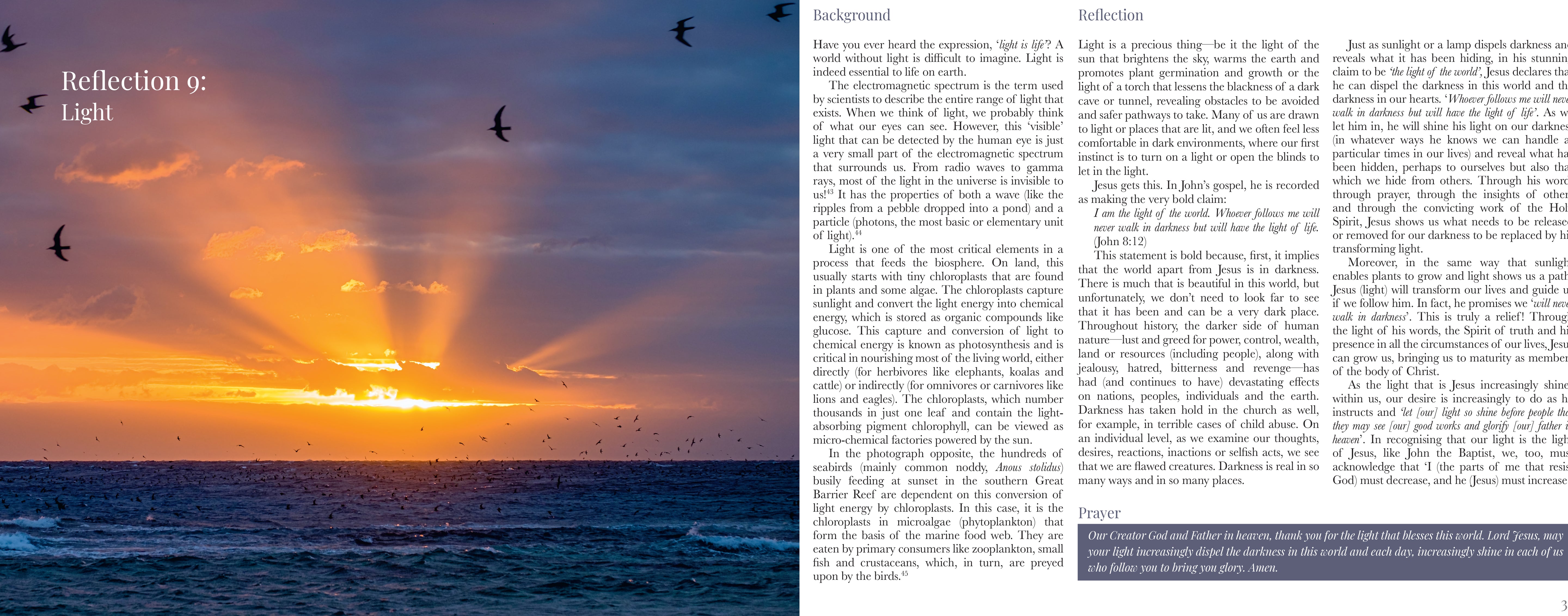 Windows on Nature: Reflections on God