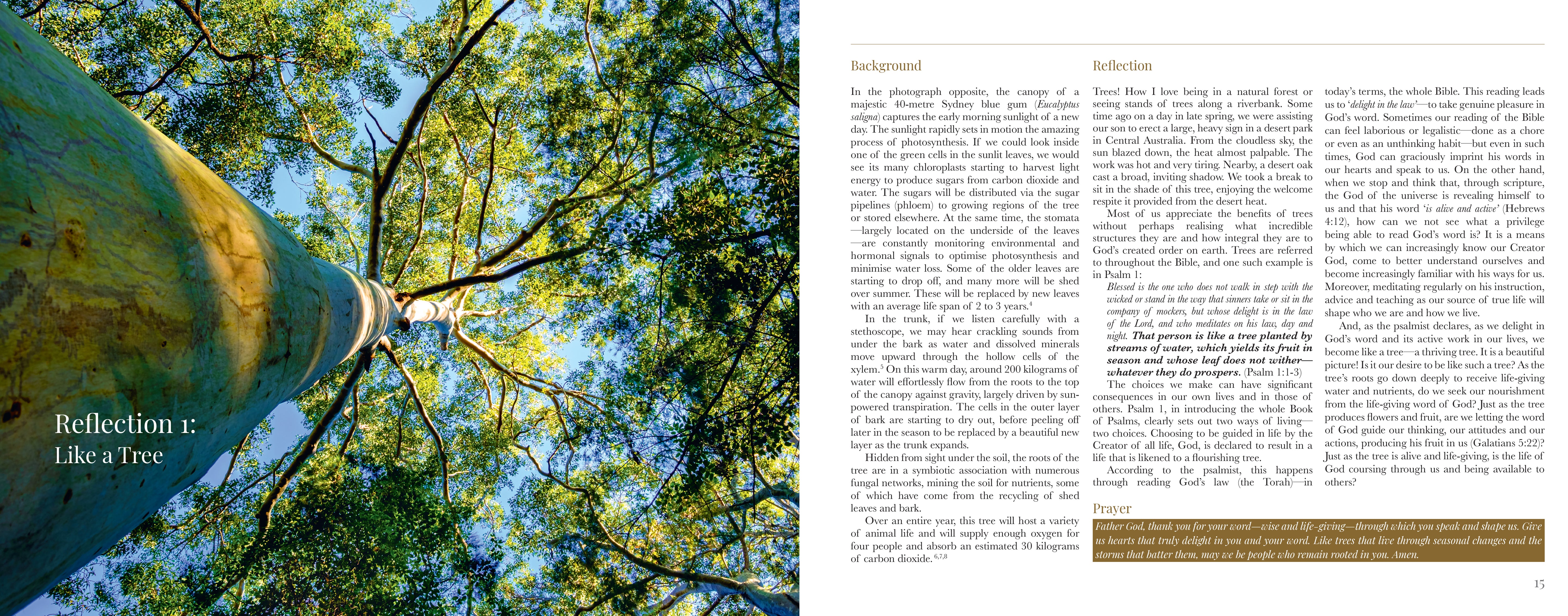Windows on Nature: Reflections on God