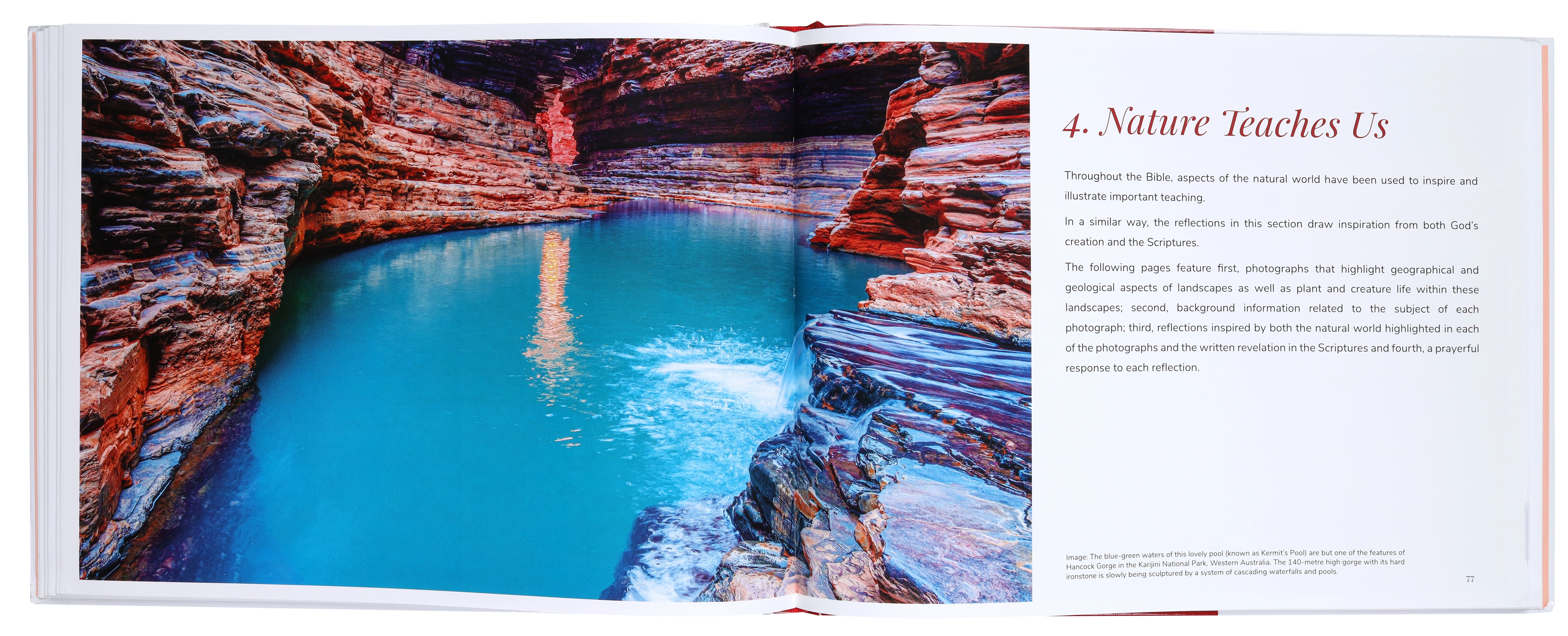 Wonder: Journeys in Nature With God