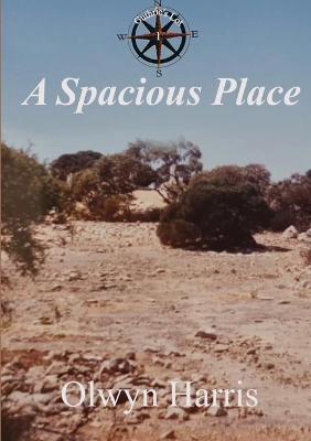 A Spacious Place (#01 in Guthrie's Lot Series)