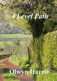 A Level Path (#02 in Guthrie's Lot Series)