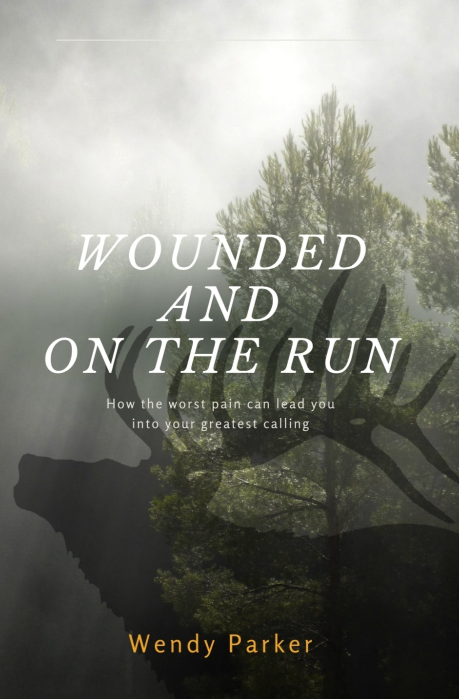Wounded and on the Run: How the Worst Pain Can Lead You Into Your Greatest Calling