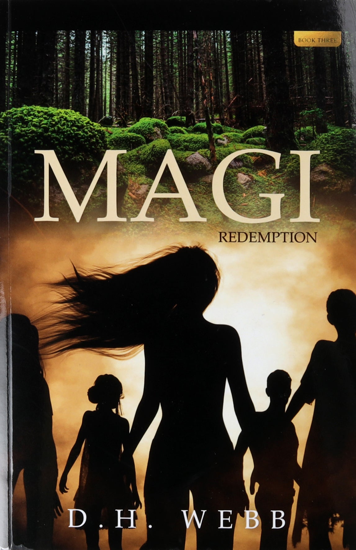 Magi: Redemption (#03 in Chronicles Of The Corriian Wars Series)
