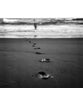 The Doors of the Ocean: Hope for the Hurting