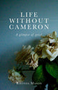 Life Without Cameron: A Glimpse of Grief