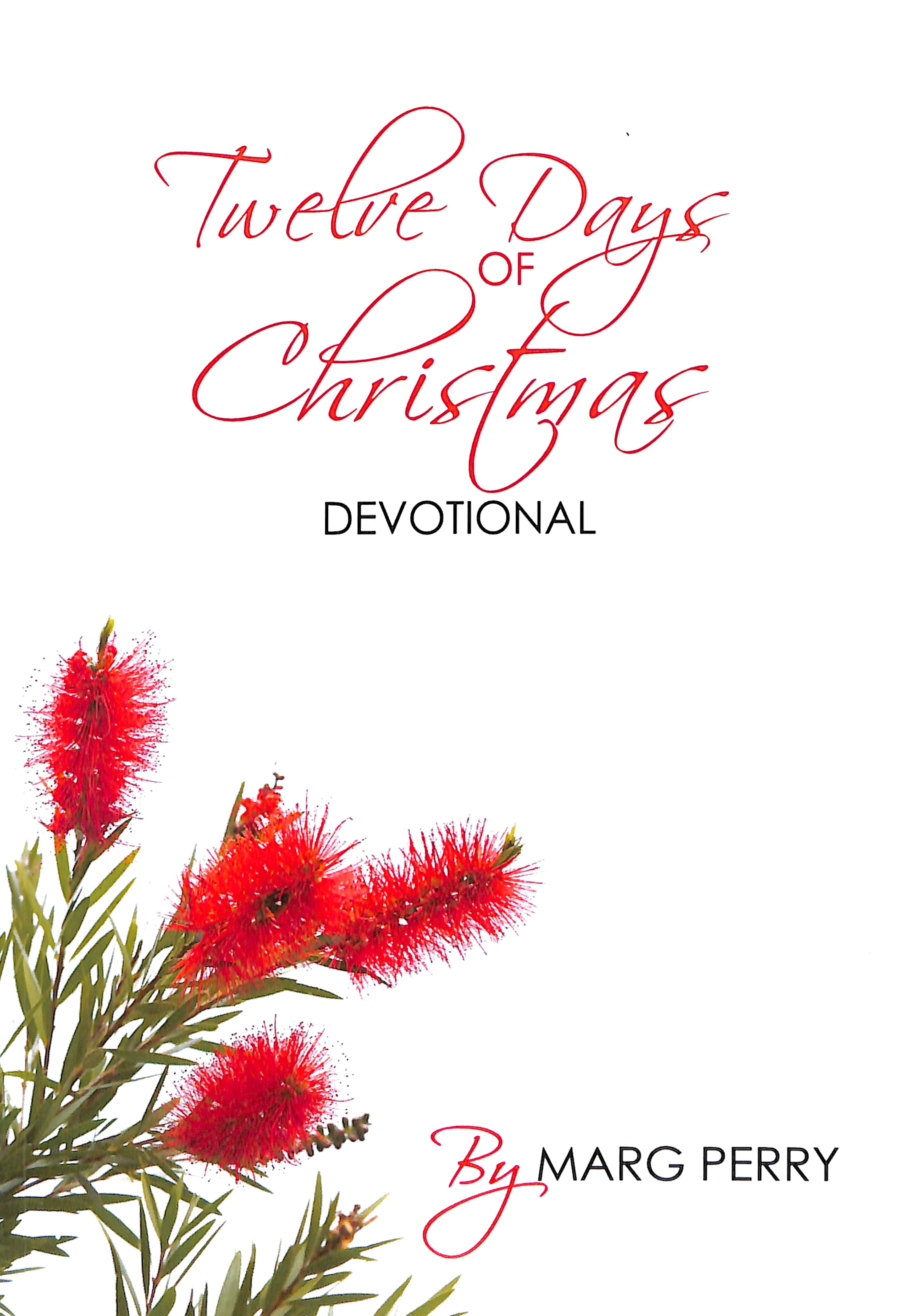 Twelve Days of Christmas Devotional