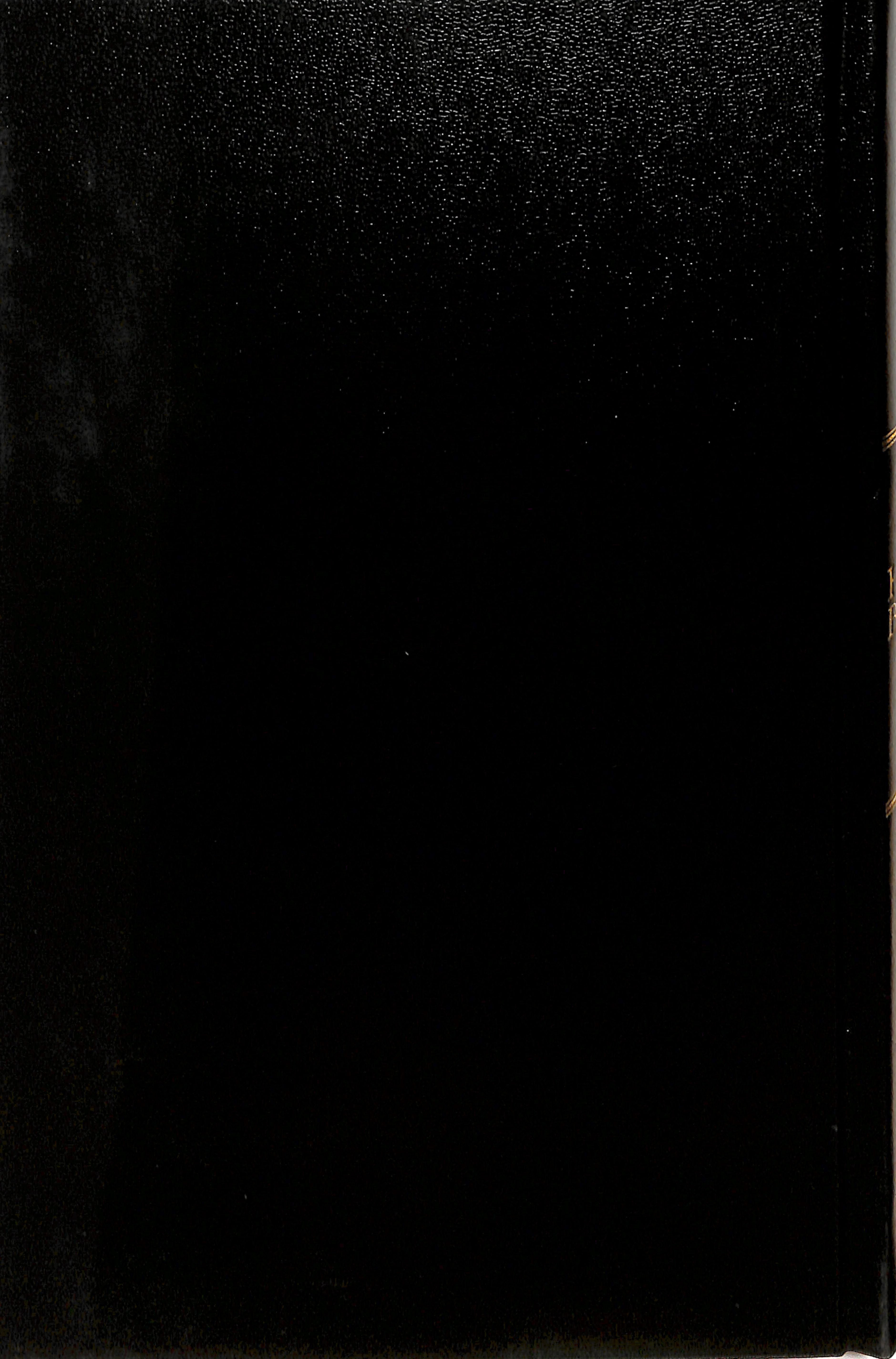 NIV Thinline Bible Black