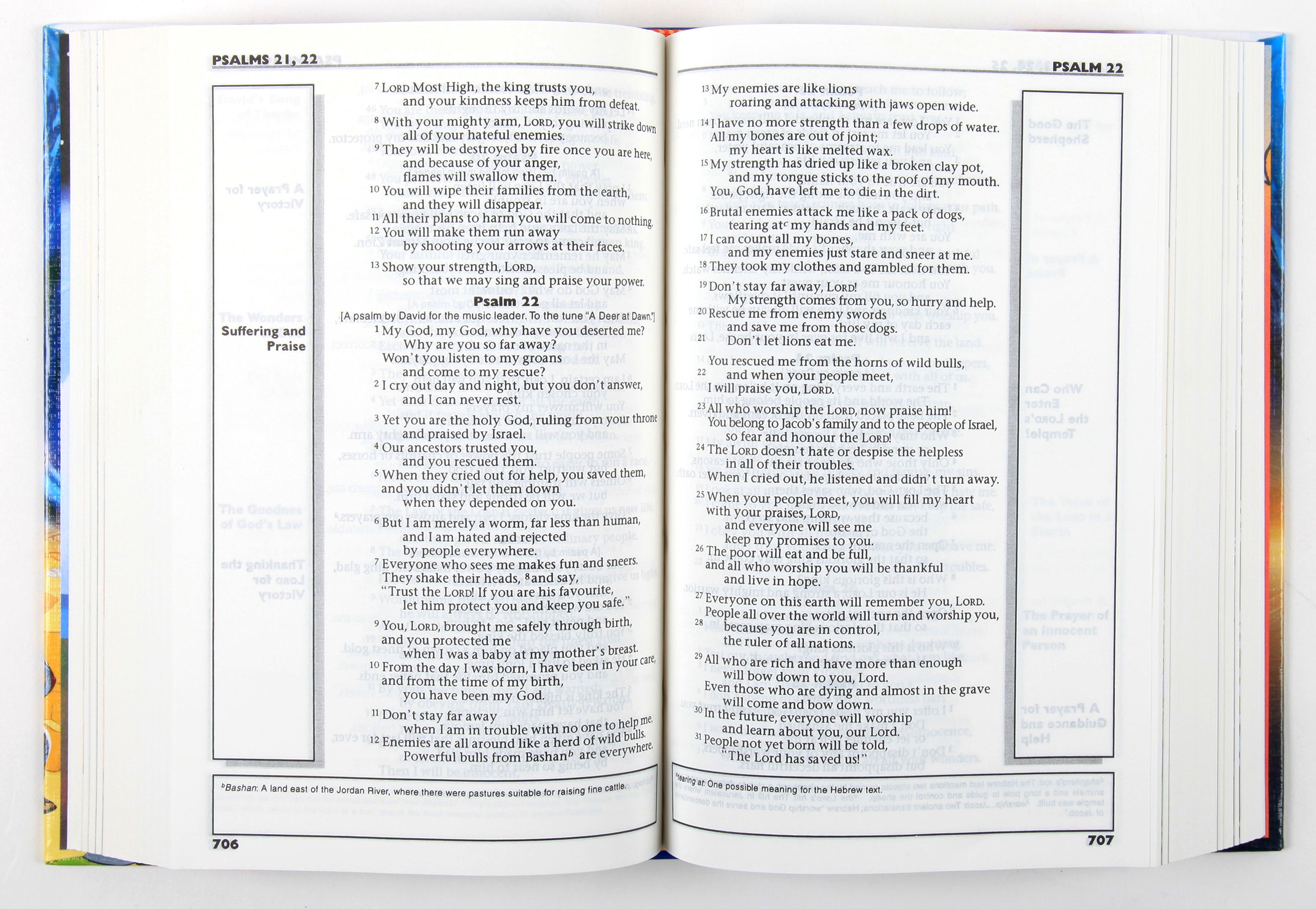 CEV the Big Rescue Bible (Cover & Illustrations 2014)