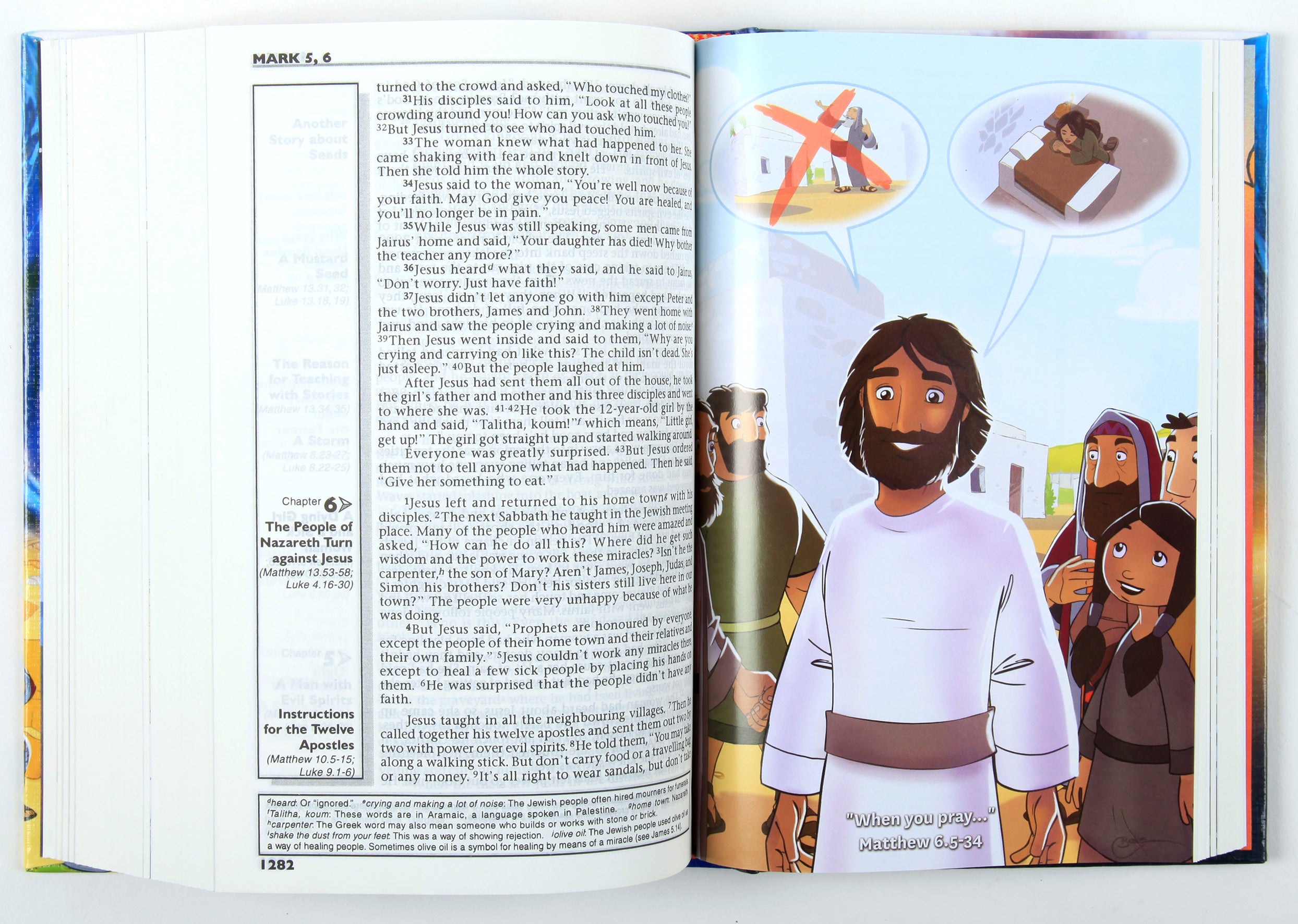 CEV the Big Rescue Bible (Cover & Illustrations 2014)