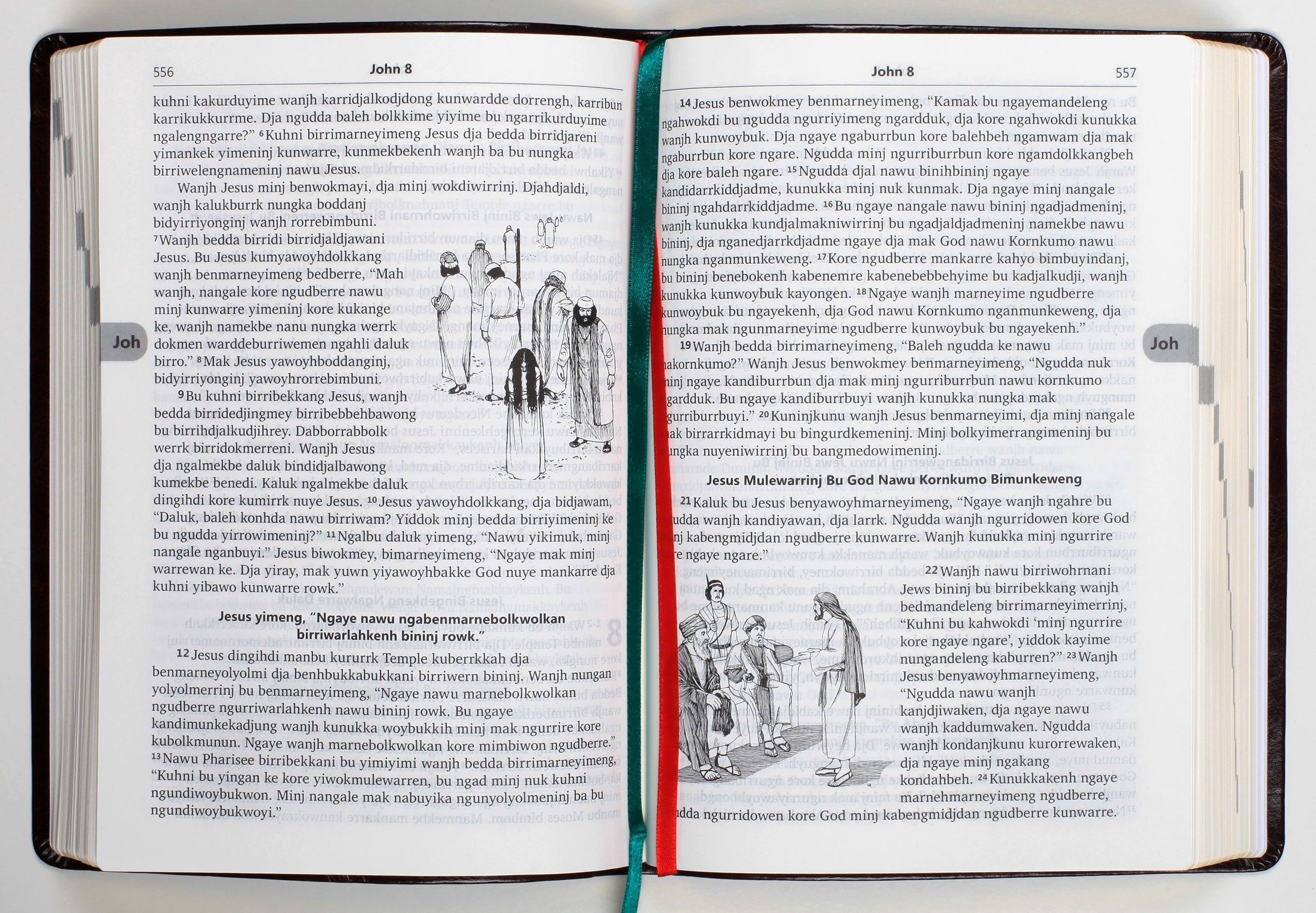 Kunwinjku God Nuye Kunwok (Shorter Bible)