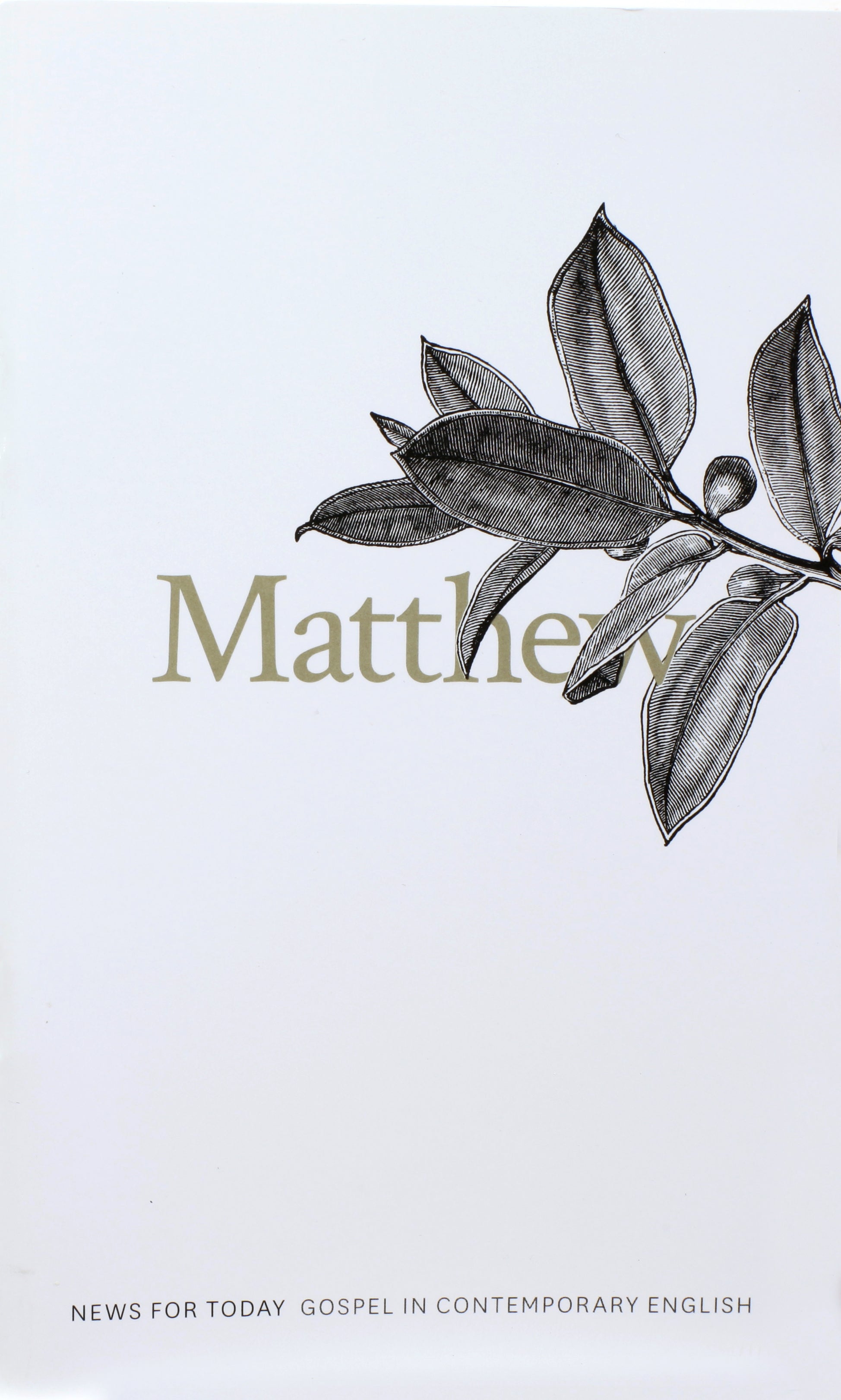 CEV Gospel of Matthew