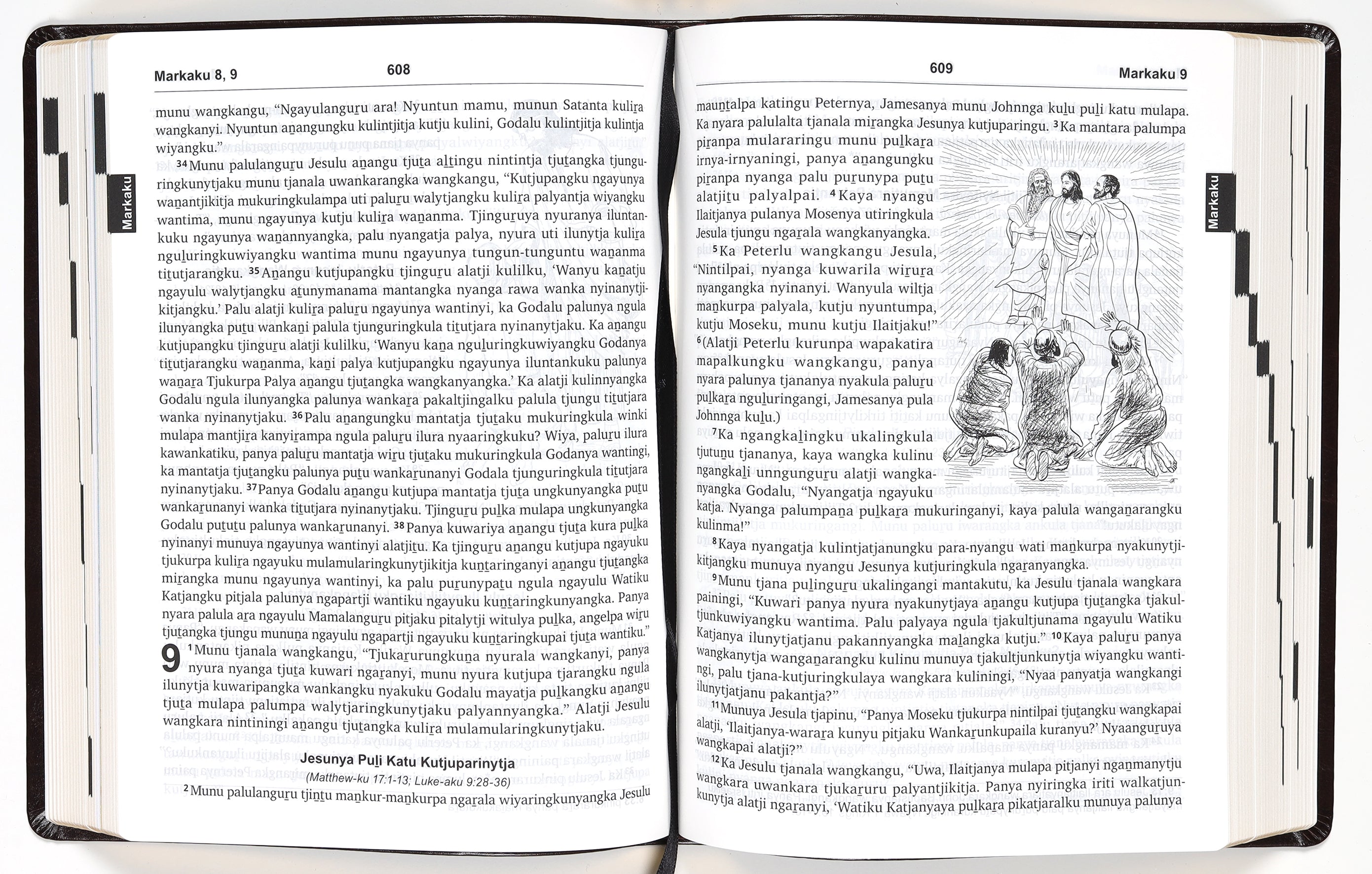 Pitjantjatjara Shorter Bible (Revised 2019) (Aboriginal)