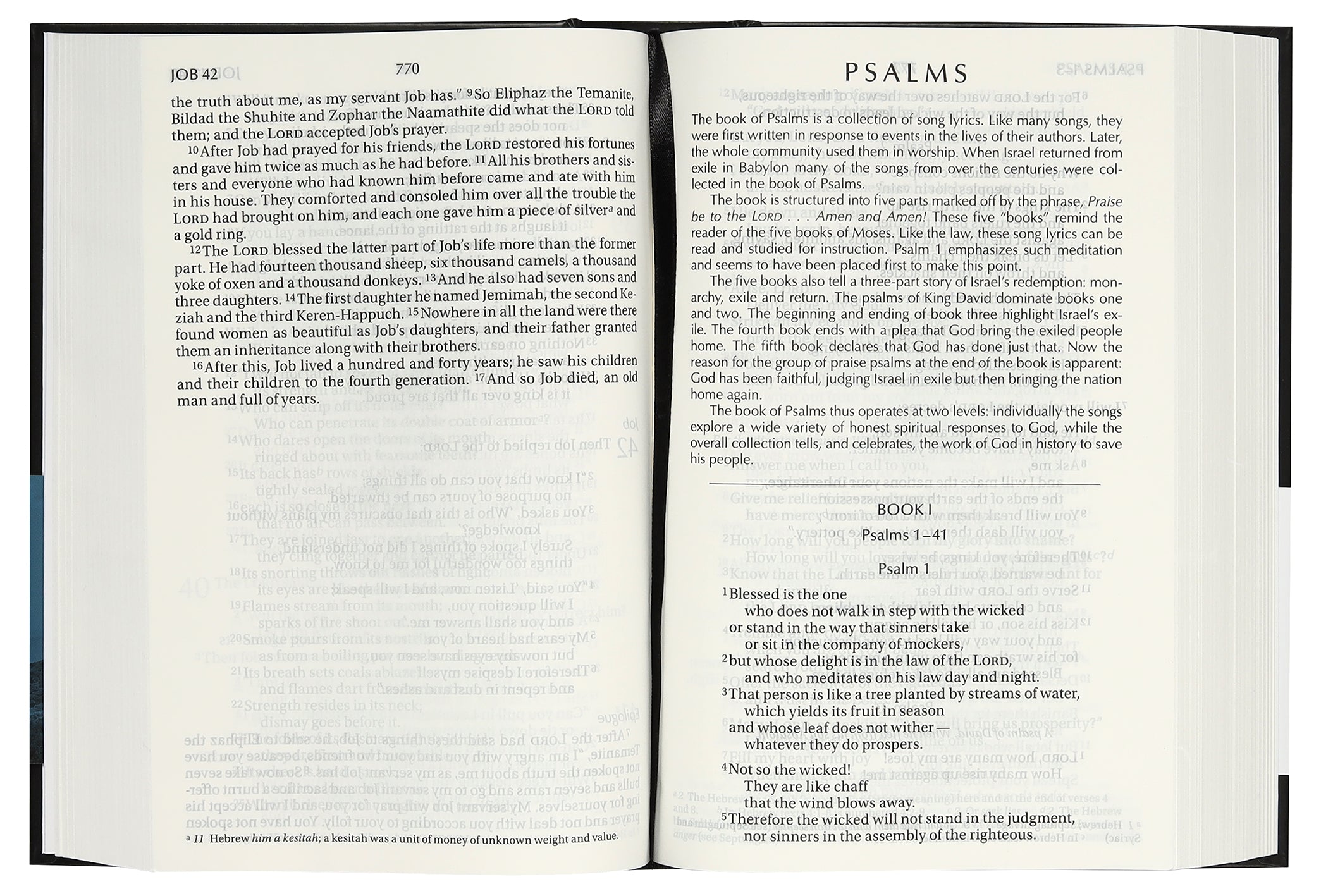 NIV Black Pew Bible Single Column With Large Print