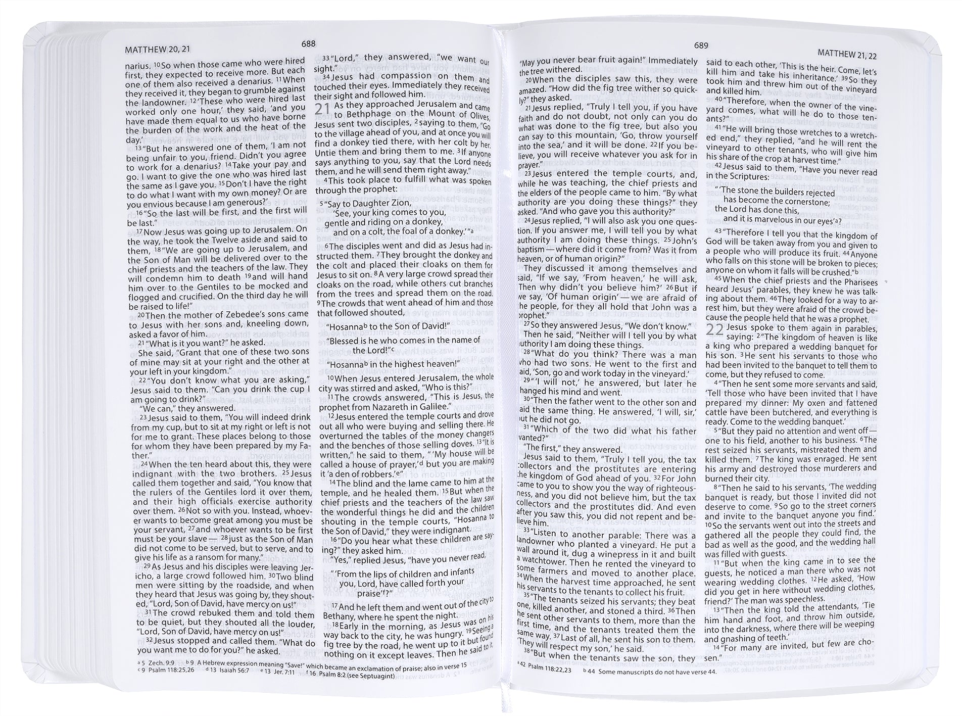 NIV New Beginnings Bible