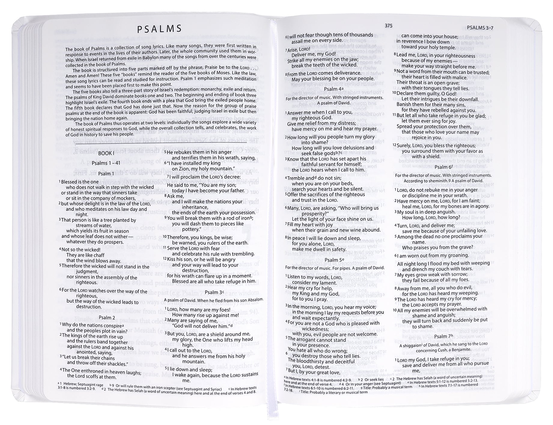 NIV New Beginnings Bible