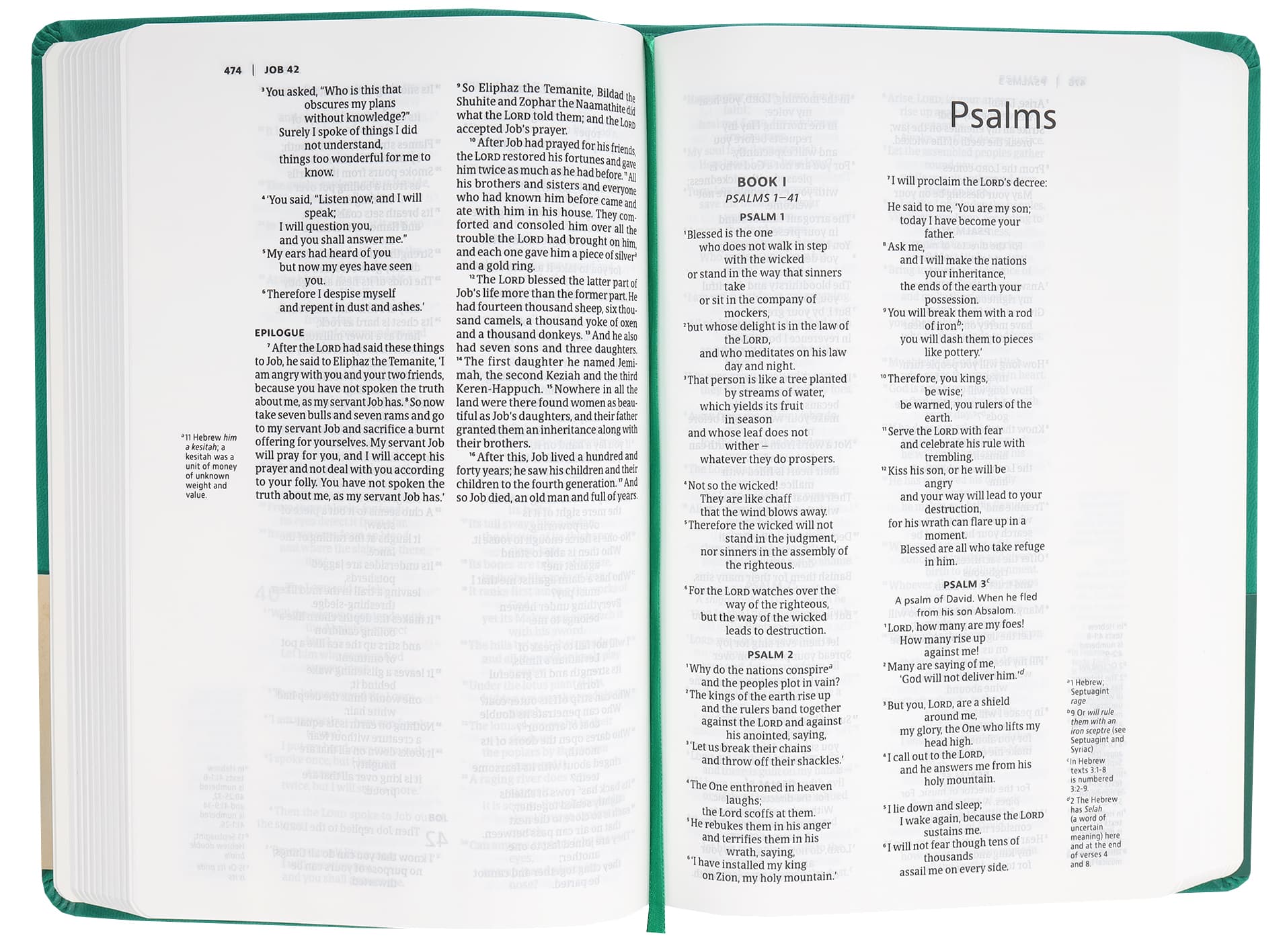NIV Slimline Bible Rich Green
