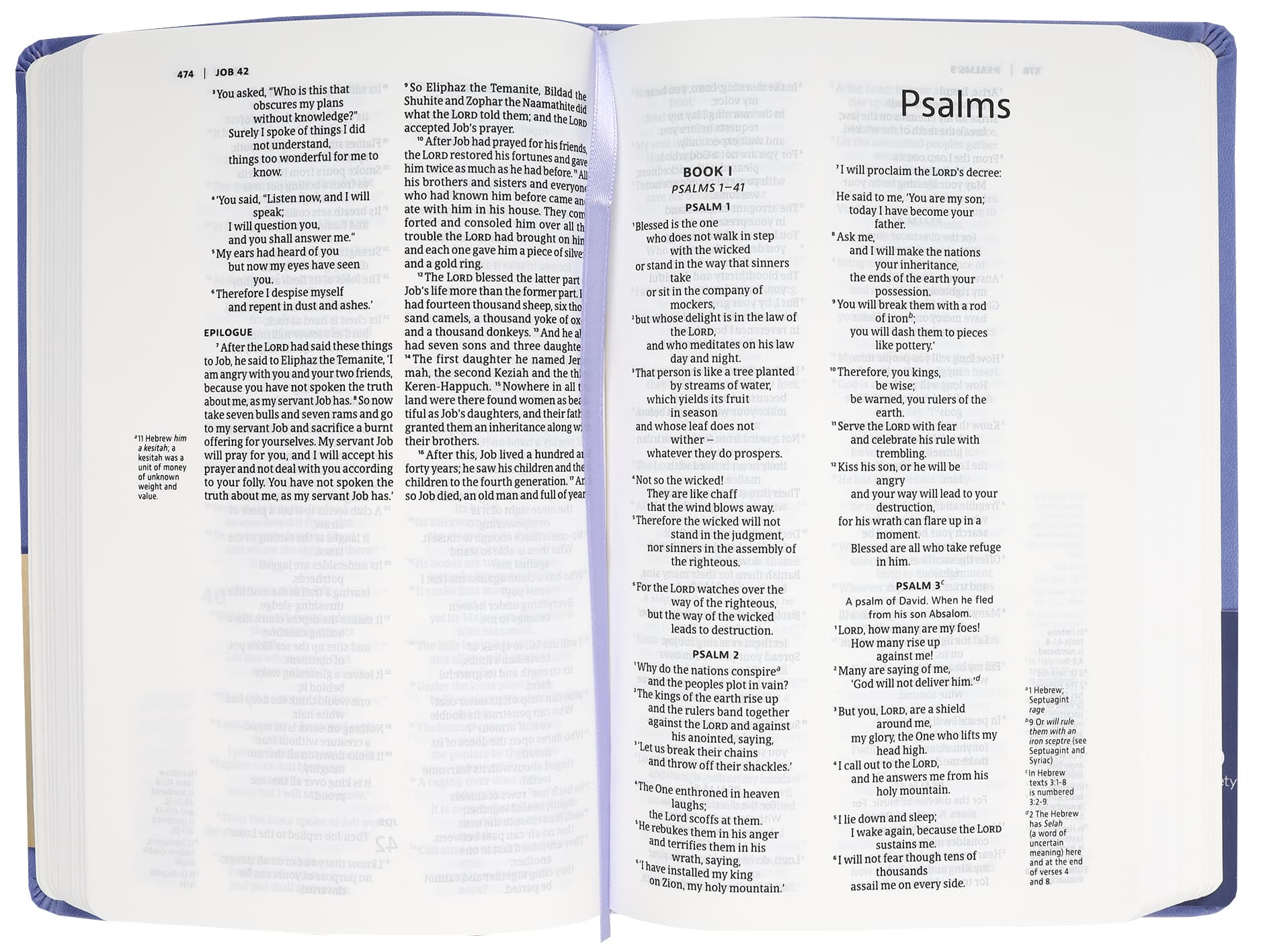 NIV Slimline Bible Blue Lavender