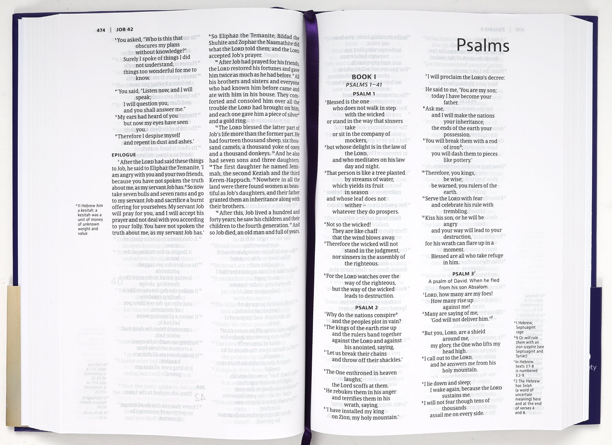 NIV Slimline Bible Ultraviolet (Anglicised) (Black Letter Edition)