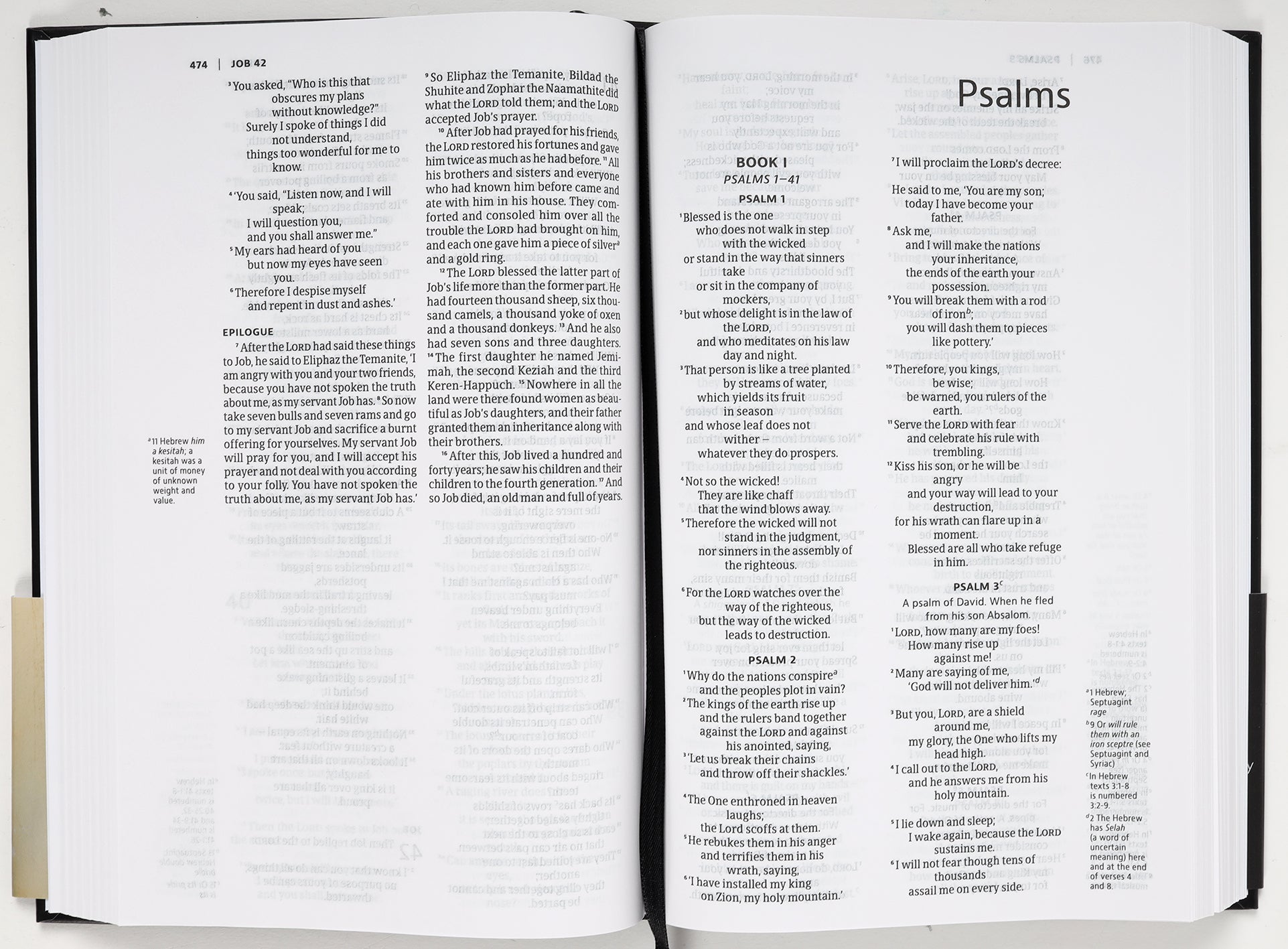 NIV Slimline Bible Black (Anglicised) (Black Letter Edition)
