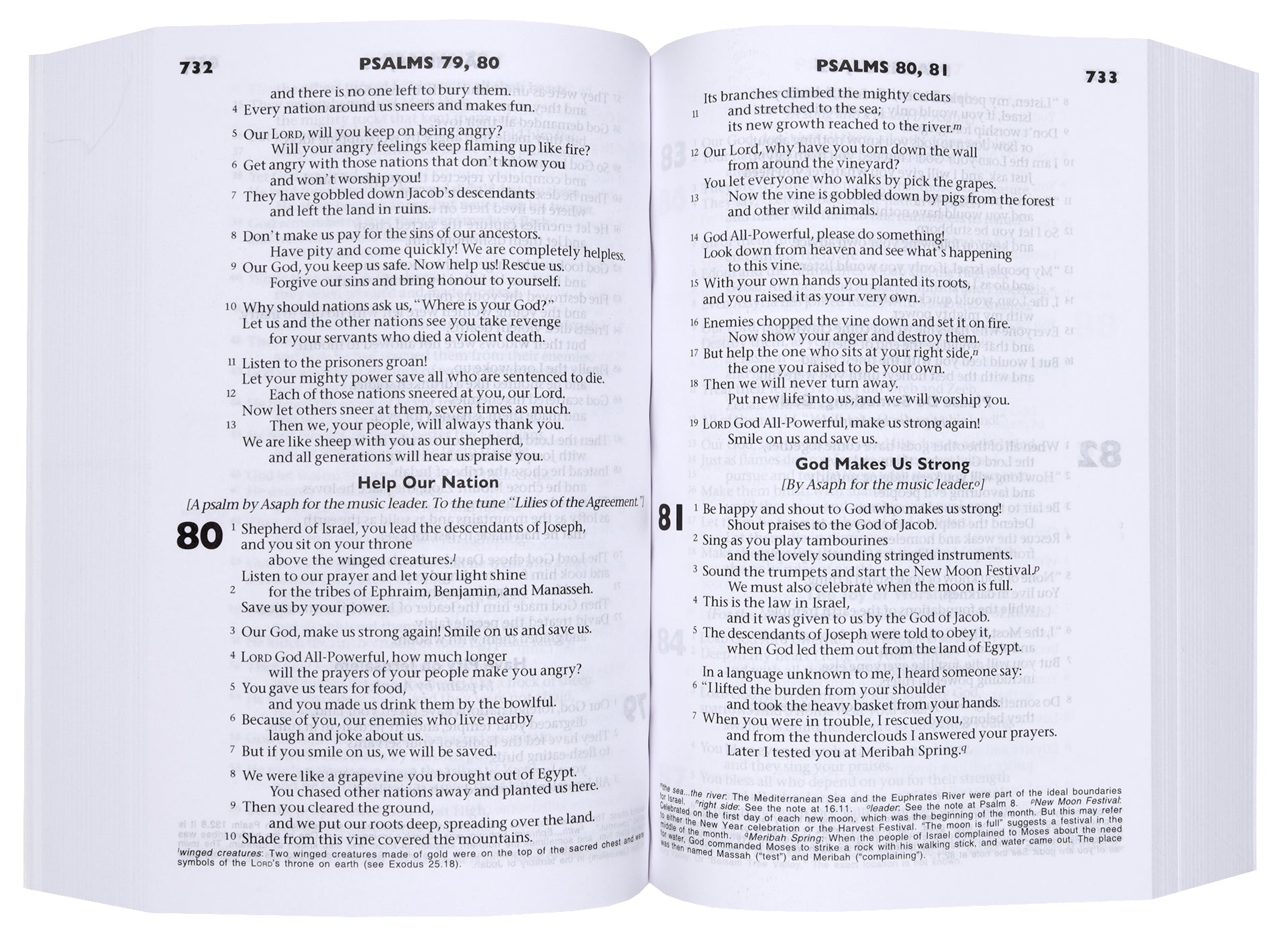 CEV Schools Youth Compact Bible