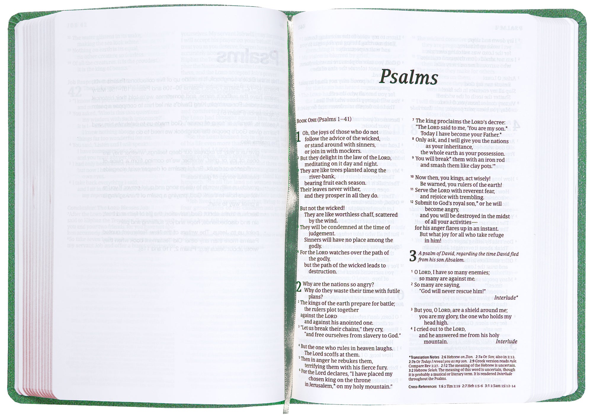 NLT  Read This Bible Flecked Green (Anglicised)