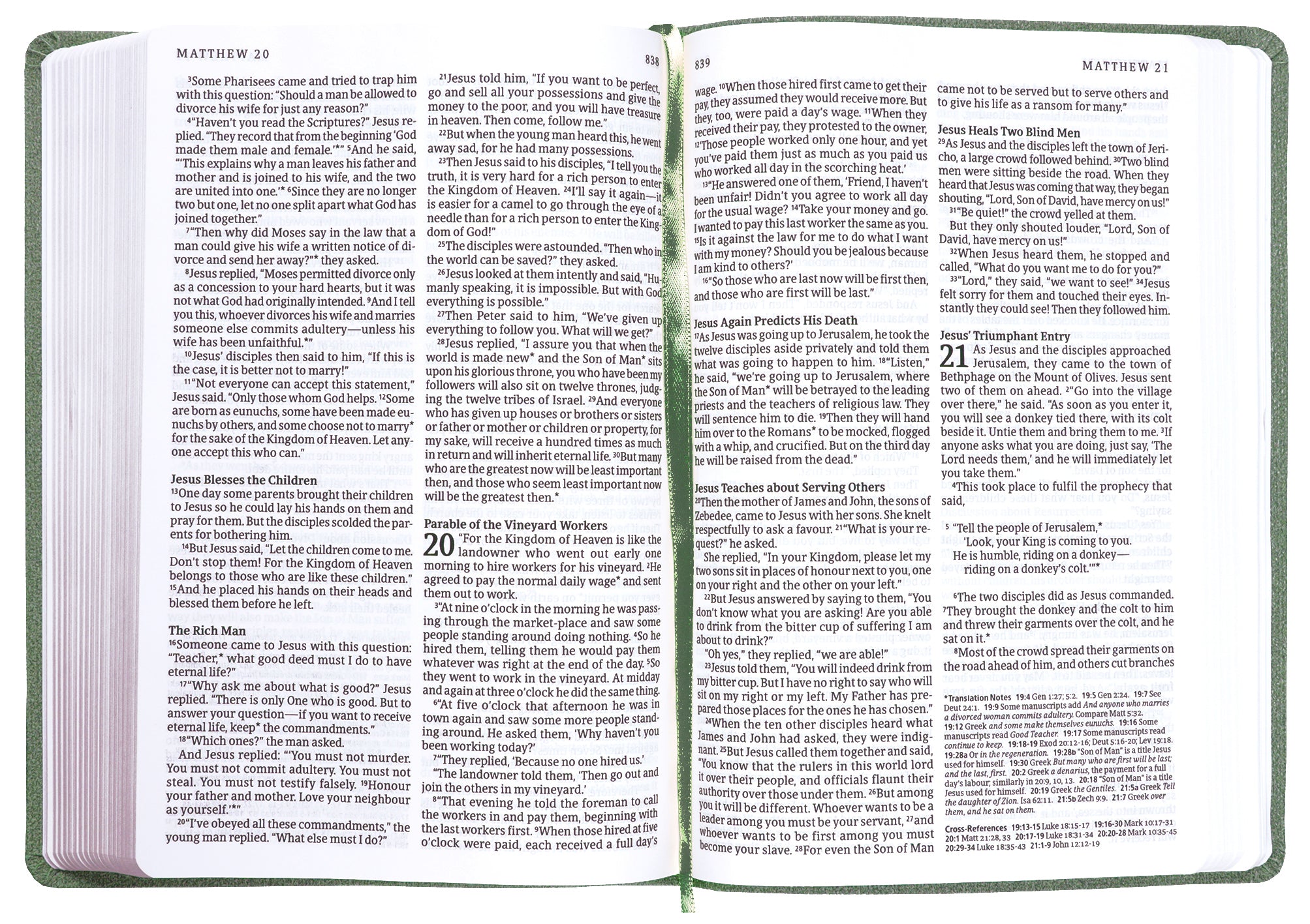 NLT  Read This Bible Flecked Green (Anglicised)