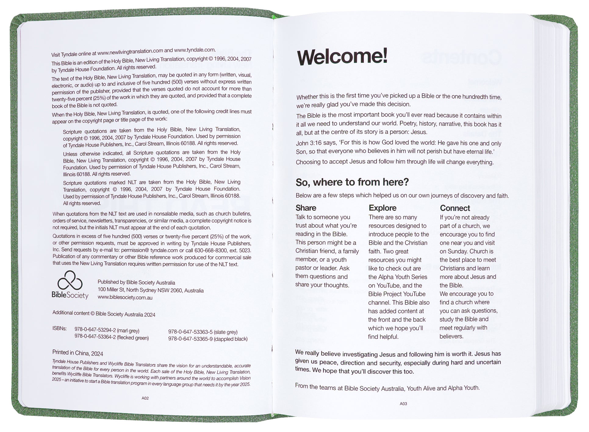 NLT  Read This Bible Flecked Green (Anglicised)