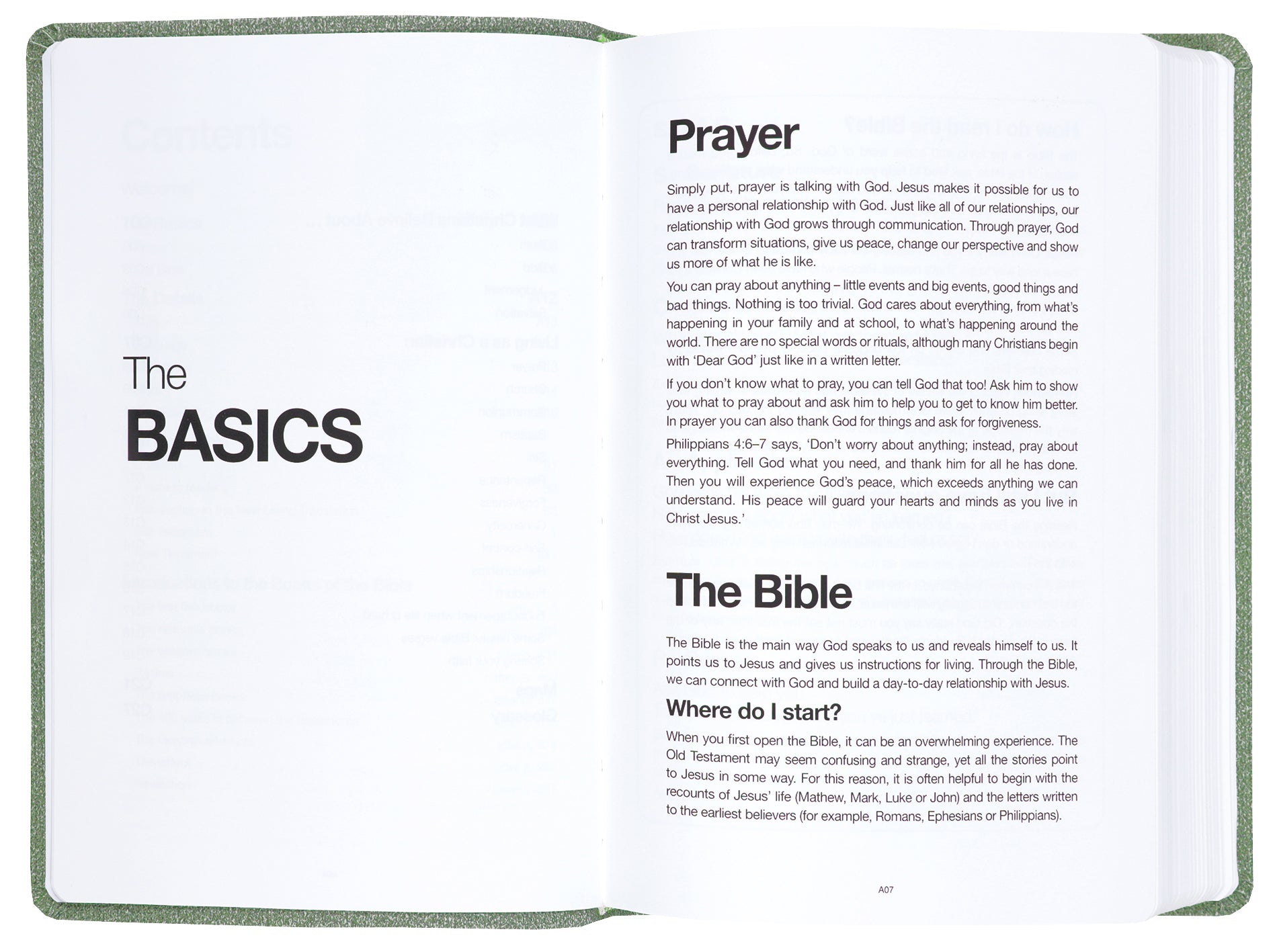 NLT  Read This Bible Flecked Green (Anglicised)