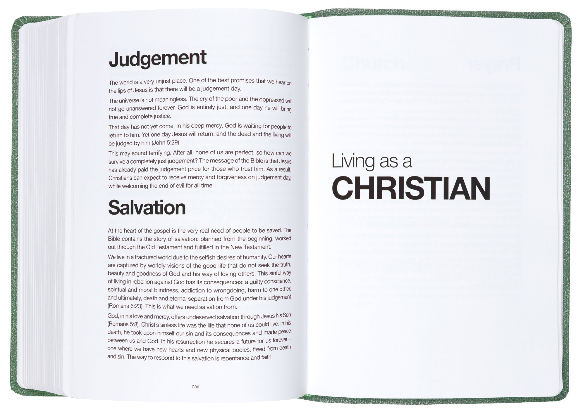 NLT  Read This Bible Flecked Green (Anglicised)