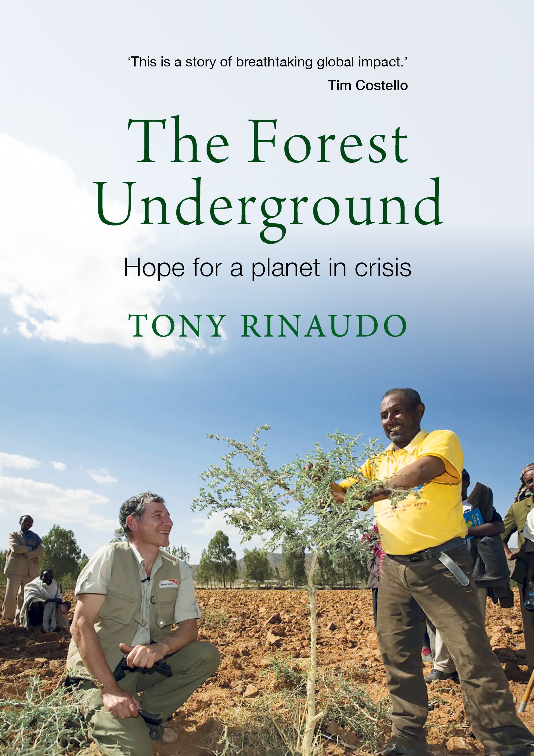The Forest Underground: Hope for a Planet in Crisis