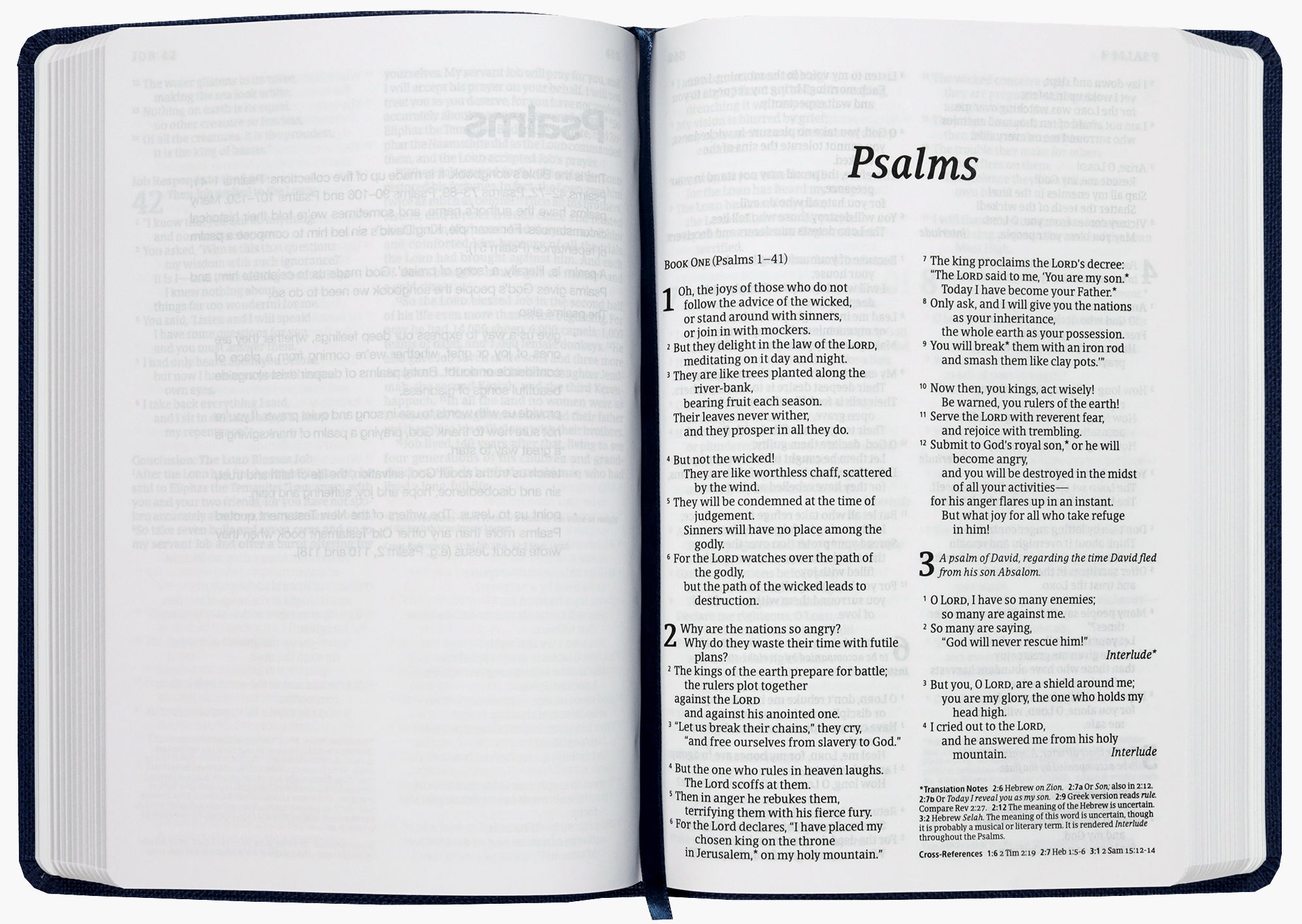 NLT Read This Bible (Anglicised) Royal Blue