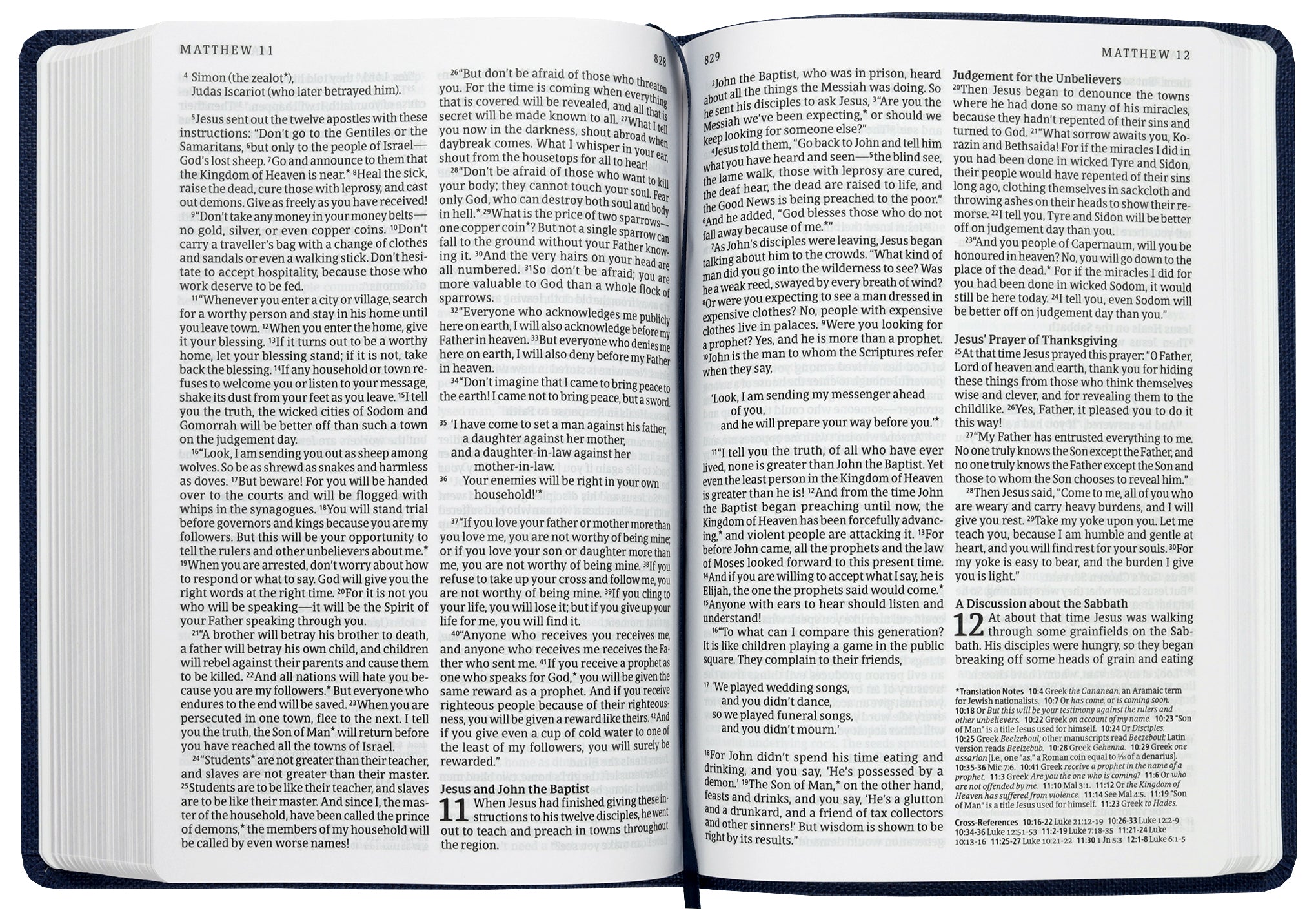 NLT Read This Bible (Anglicised) Royal Blue