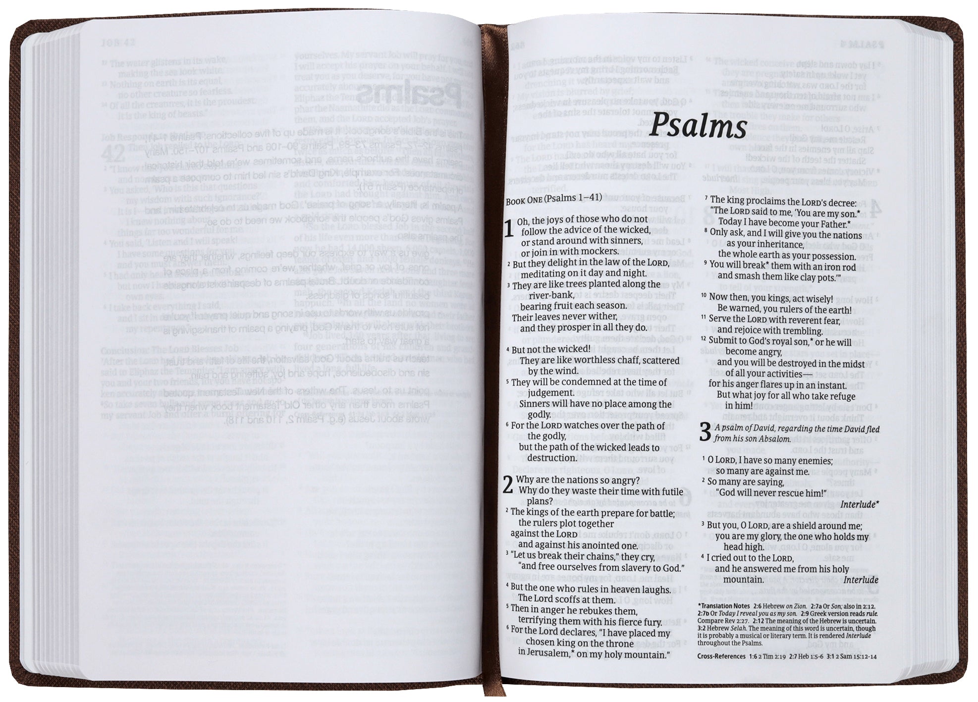 NLT Read This Bible (Anglicised) Vintage Brown