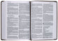 NLT Read This Bible (Anglicised) Vintage Brown