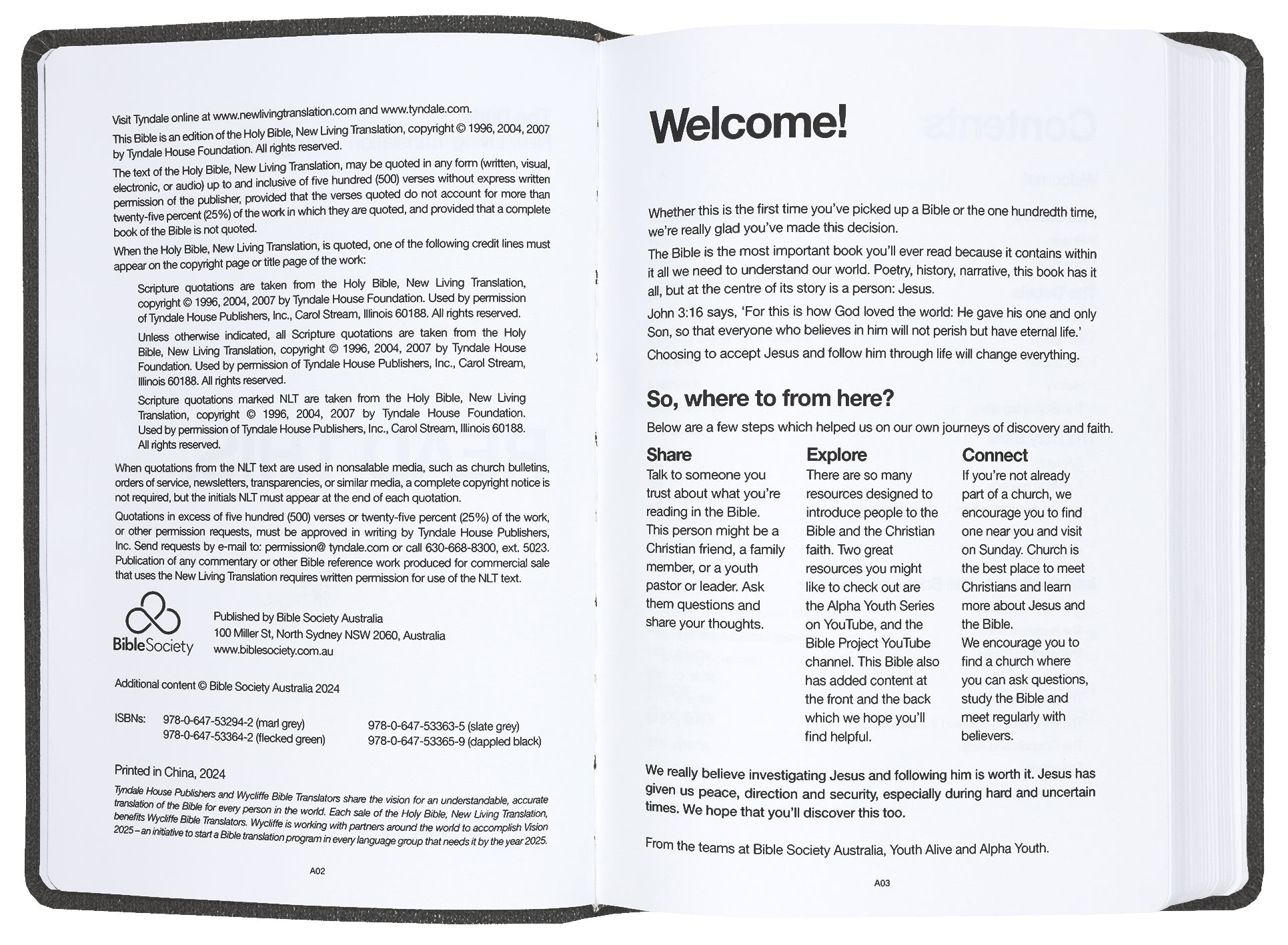 NLT Read This Bible (Anglicised) Vintage Brown